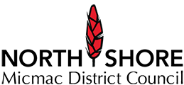 nsmdc